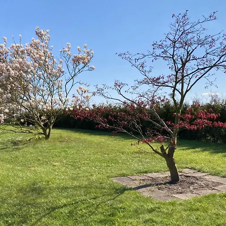 Ferienhaeuser Vogelsang Tatil Evi Sagard