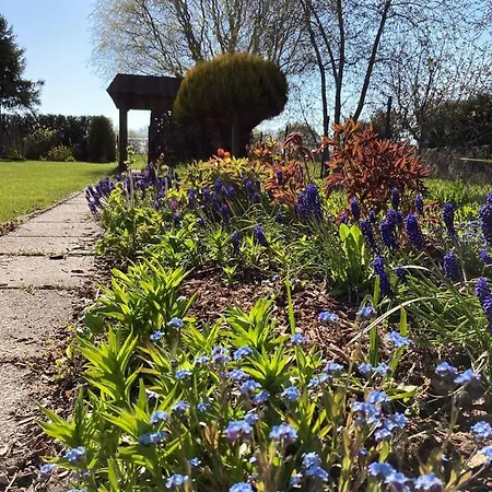 Ferienhaeuser Vogelsang Sagard